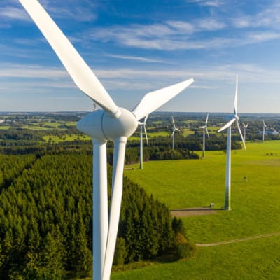 Silvercrest launches Global Carbon Opportunity Strategy